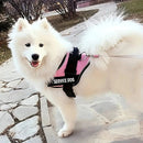 Peitoral SafeBud dog - DeusJoy.com