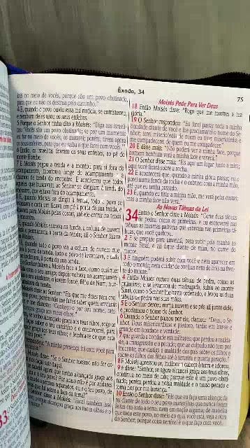 Bíblia Sagrada Infantil com Zíper Luxo - DeusJoy.com