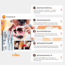 Caneta DentalMax para Pets – Limpa dentes amarelados, previne o tártaro e elimina o mau hálito - DeusJoy.com