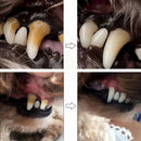 Caneta DentalMax para Pets – Limpa dentes amarelados, previne o tártaro e elimina o mau hálito - DeusJoy.com