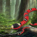 Cobra Inteligente para Gato - DeusJoy.com