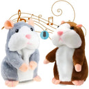 Hamster Falante Hamsfale | Ensine seu filho brincando - DeusJoy.com