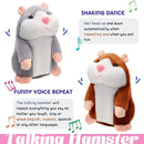 Hamster Falante Hamsfale | Ensine seu filho brincando - DeusJoy.com