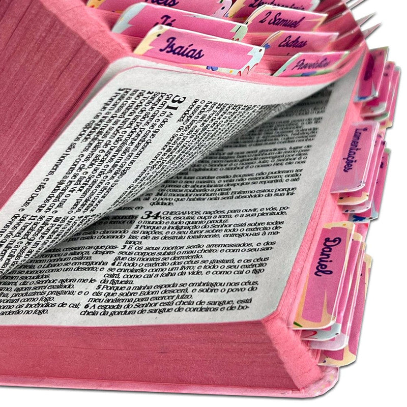 Kit 2 Bíblia Sagrada Evangélica - DeusJoy.com