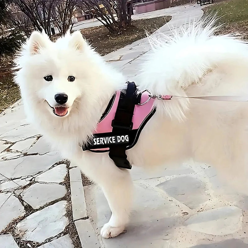 Peitoral SafeBud dog - DeusJoy.com