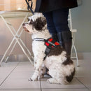 Peitoral SafeBud dog - DeusJoy.com