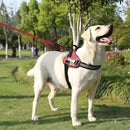 Peitoral SafeBud dog - DeusJoy.com