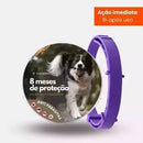 ProtegePet - Colar Anti Pulgas e Carrapatos - DeusJoy.com