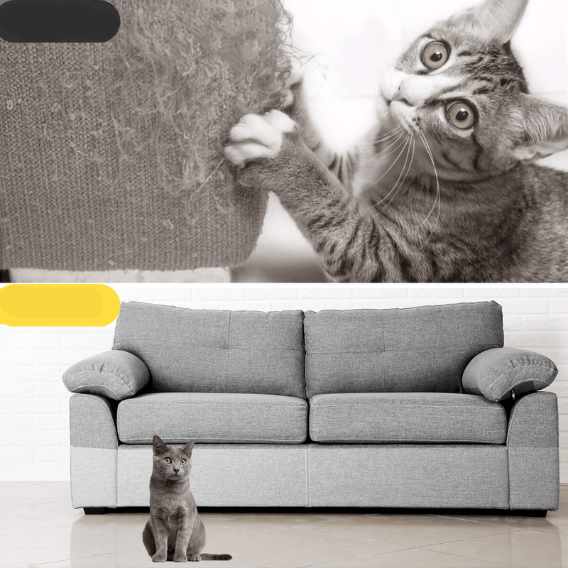 Protetor Anti Arranhões para Gatos - DeusJoy.com